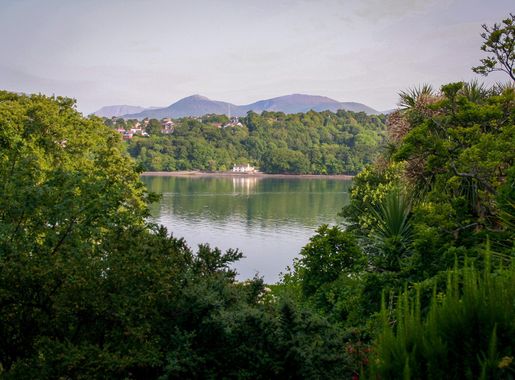 Free Images : trees, palm, Menai, snowdonia, mountains, reflection, river,  body of water, water resources, vegetation, natural landscape, highland,  reservoir, sky, wilderness, nature reserve, green, loch, tree, natural  environment, tarn, lake district,