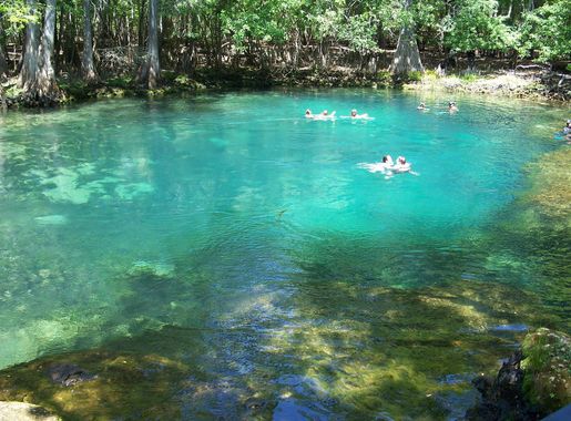 File:Manatee Springs State Park Florida springs05.jpg - Wikimedia Commons
