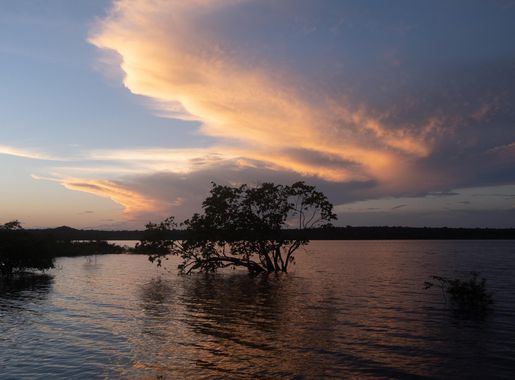 File:Reserva Extrativista Tapajós Arapiuns Gui Falcao-8.jpg - Wikimedia  Commons