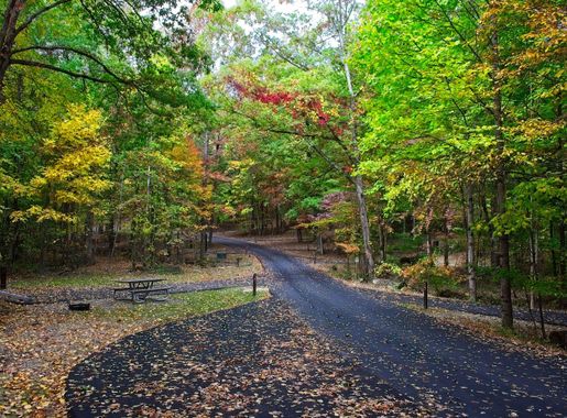 Park reopens Look Rock Campground after nine-year closure - Great Smoky  Mountains National Park (U.S. National Park Service)