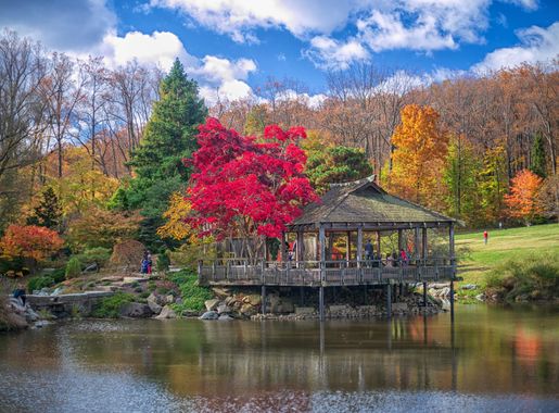 File:Teahouse in Fall 2018.jpg - Wikimedia Commons
