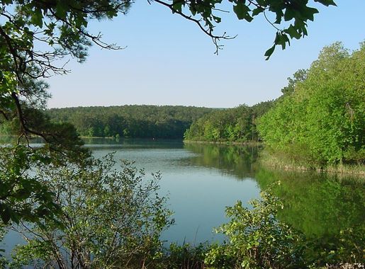 File:AR Ouachita National Forest.jpg - Wikimedia Commons