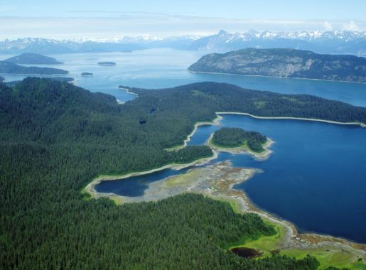 Berg Bay Purchase - Glacier Bay National Park & Preserve (U.S. National  Park Service)