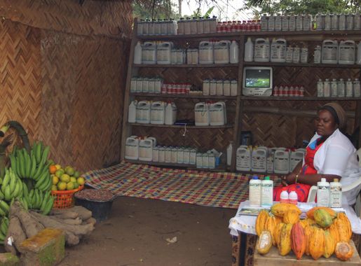 File:Raw Cocoa Beans Vendor in Bafia - Cameroon.jpg - Wikimedia Commons