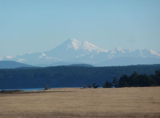File:View from American Camp (651dd6fc-63e2-4ba2-9305-53ee83ae4f85).jpg -  Wikimedia Commons