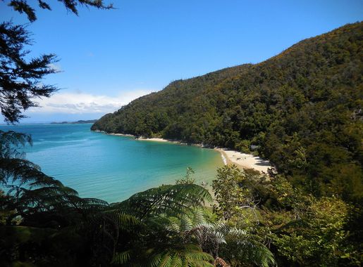 File:Abel Tasman trail, National Park, South Island, New Zealand -  panoramio (1).jpg - Wikimedia Commons