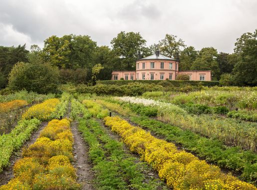 File:Rosendals Trädgård (15364296615).jpg - Wikimedia Commons