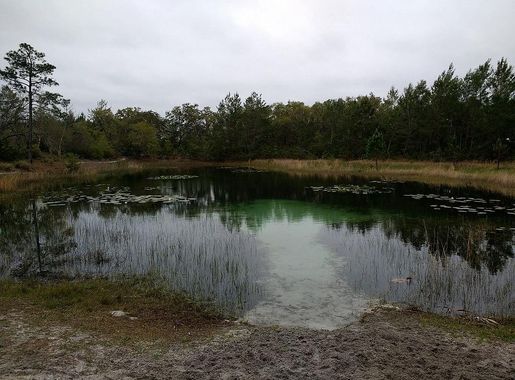 File:Hidden Pond Juniper Prairie Wilderness Ocala National Forest.jpg -  Wikimedia Commons