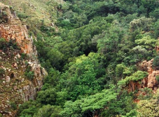 File:Tonquani Kloof00.jpg - Wikipedia