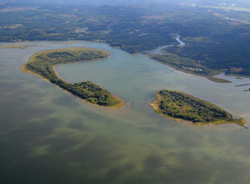 File:Aerial View of Lois Island, Lewis and Clark National Wildlife Refuge.JPG  - Wikimedia Commons