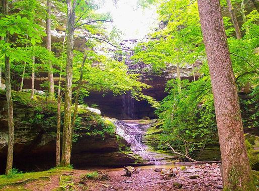 File:Ferne Clyffe State Park.jpg - Wikimedia Commons