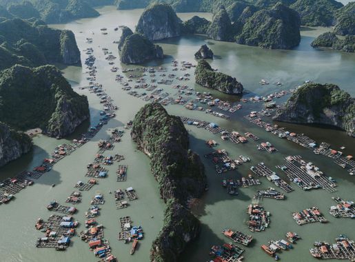 Tập tin:Cat Ba island fishing village.jpg – Wikipedia tiếng Việt