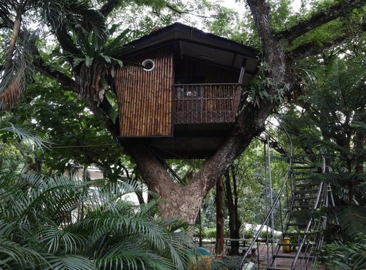File:Pasonanca Park Tree House (Pasonanca Road, Zamboanga City;  10-09-2023).jpg - Wikimedia Commons
