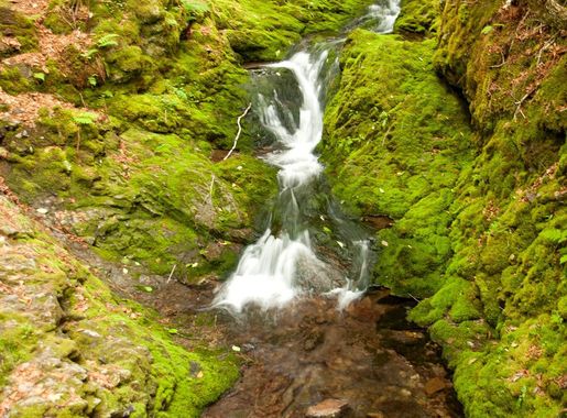 File:Dickson Falls, Fundy National Park (7617861880).jpg - Wikimedia Commons
