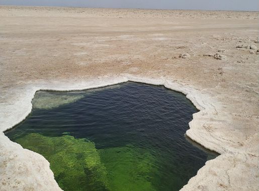 File:Salt Lake Danakil.jpg - Wikimedia Commons