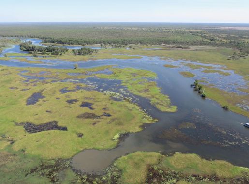 File:Arial view of boat on the wetlands.jpg - Wikimedia Commons