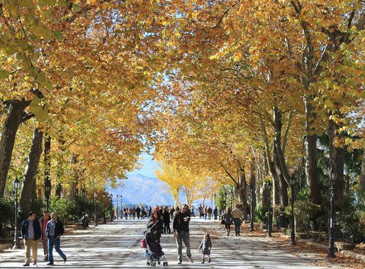 File:Alameda del Tajo Ronda.JPG - Wikimedia Commons