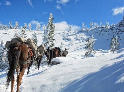 skier Bear Basin, located McCall | Free Photo - rawpixel