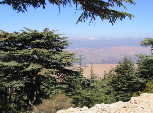File:View from the Barouk Forest 1.JPG - Wikimedia Commons