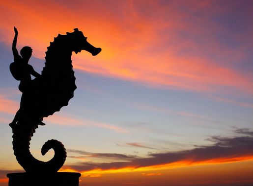 File:The Famous Horse Sea Statue on the Malecon of Puerto Vallarta.jpg -  Wikimedia Commons