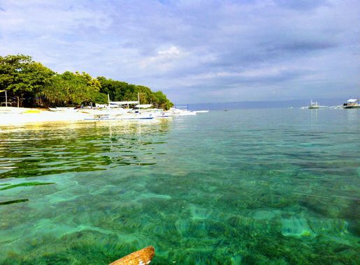 File:Balicasag Marine Sanctuary, Bohol, Philippines 01.jpg - Wikimedia  Commons
