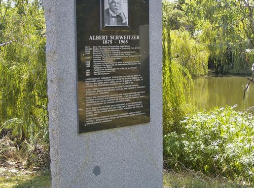 File:Albert Schweitzer.jpg - Wikimedia Commons
