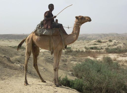 File:Camel and Rider (8527949077).jpg - Wikimedia Commons