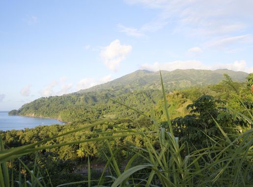 File:Soufriere Volcano St Vincent.jpg - Wikipedia