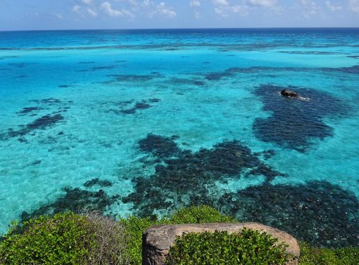 File:Corales Old Providence McBean Lagoon.JPG - Wikimedia Commons