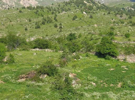 File:Korab.jpg - Wikimedia Commons