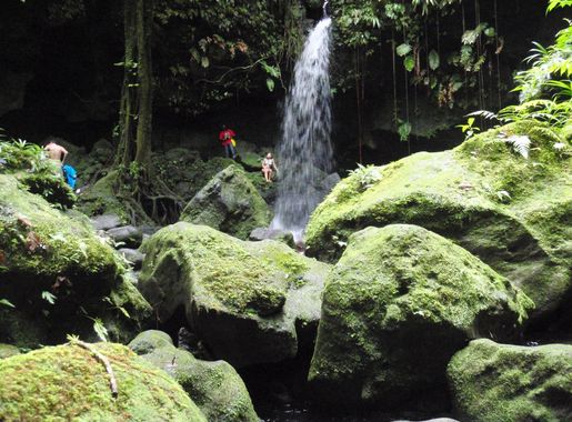 File:Emerald Pool, Dominica,2.jpg - Wikimedia Commons