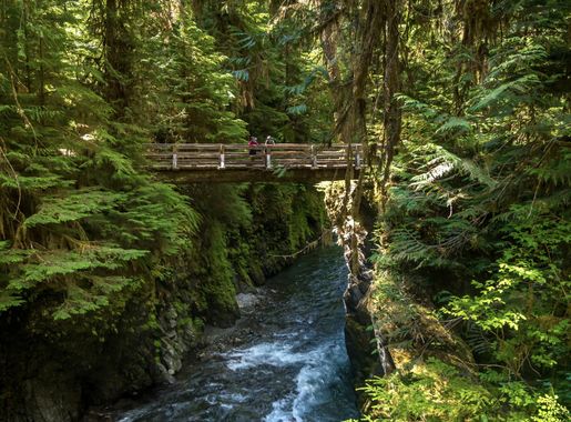 2023 Summer Bridge Repairs News Release - Olympic National Park (U.S. National  Park Service)