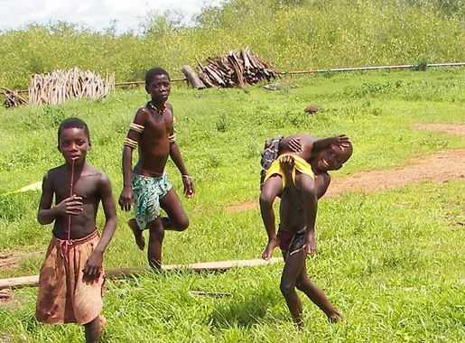 Tombali region - Wikipedia