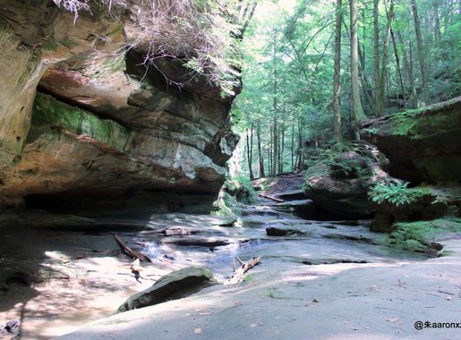 File:Old Man's Cave @ Hocking Hills State Park, Ohio - panoramio.jpg -  Wikimedia Commons
