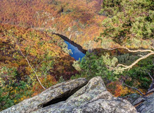 Soubor:Národní park Podyjí Dyje Sealsfielduv Kamen Nationalpark Thayatal  Sealsfield Stein 2013 10.jpg – Wikipedie