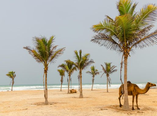 File:The unique beach (48779396443).jpg - Wikimedia Commons