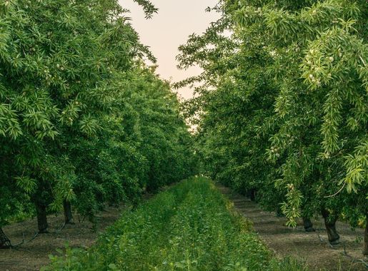 Management Actions | USDA Climate Hubs