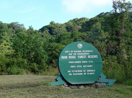 File:Tobago - August 2013 (1530).JPG - Wikimedia Commons