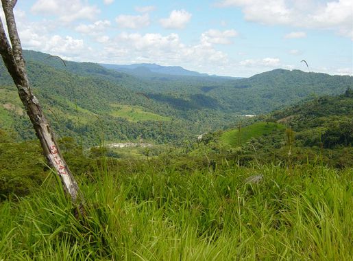File:Ecuador SanguayNationalPark.JPG - Wikipedia