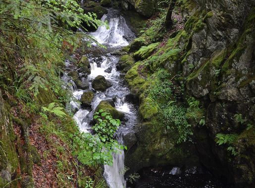 File:Cascade du Géhard.JPG - Wikimedia Commons