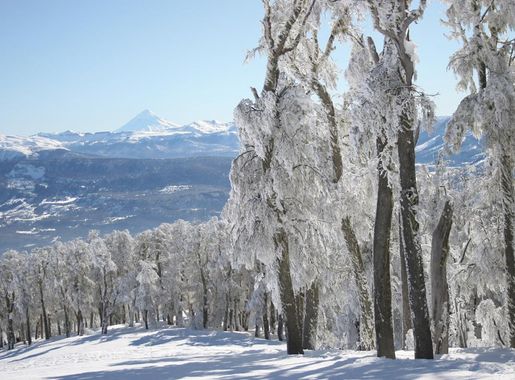File:Cerro Chapelco Paisaje.jpg - Wikimedia Commons