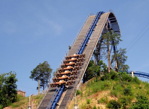 File:Wild Eagle (Dollywood) 2.jpg - Wikimedia Commons