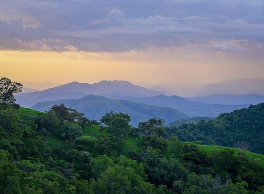 File:Gashaka-Gumti National Park, Taraba, Nigeria.jpg - Wikimedia Commons