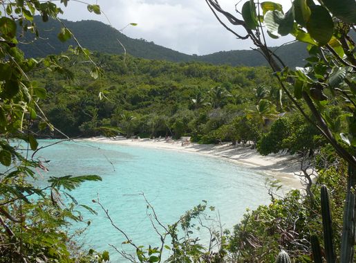 Caneel Bay Outreach Sessions - Virgin Islands National Park (U.S. National  Park Service)