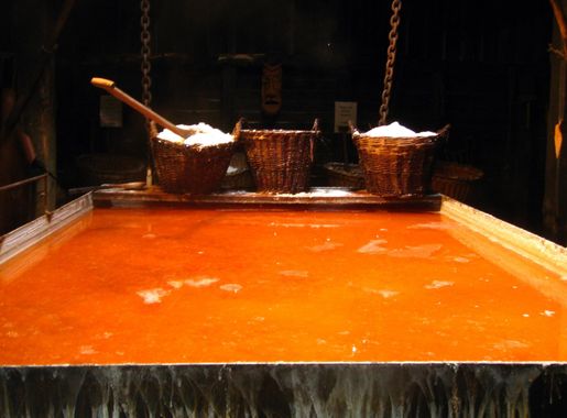 Fichier:Laesoe Saltsyderi 2011 ubt-6.JPG — Wikipédia