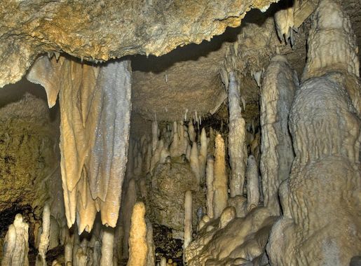 File:Harrisons Cave (6976862065).jpg - Wikimedia Commons