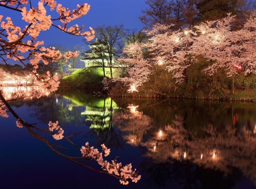 File:Takada Castle Cherry Blossom Festival.jpg - Wikipedia