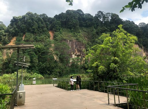 File:Singapore Quarry in Dairy Farm Nature Park, with viewing platform  visible in foreground.jpg - Wikimedia Commons