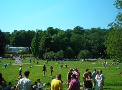 File:Slottskogen1.jpg - Wikimedia Commons
