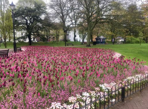 File:Gorsedd Gardens, Cardiff, April 2018 (2).jpg - Wikimedia Commons
